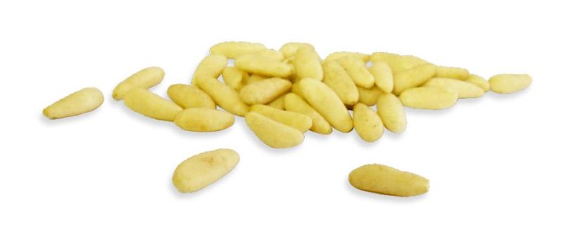 Pignons de pin - Bio - 2kg